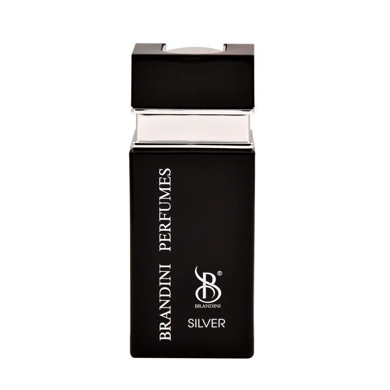 برندینی پرفیوم SILVER 25ML مینی