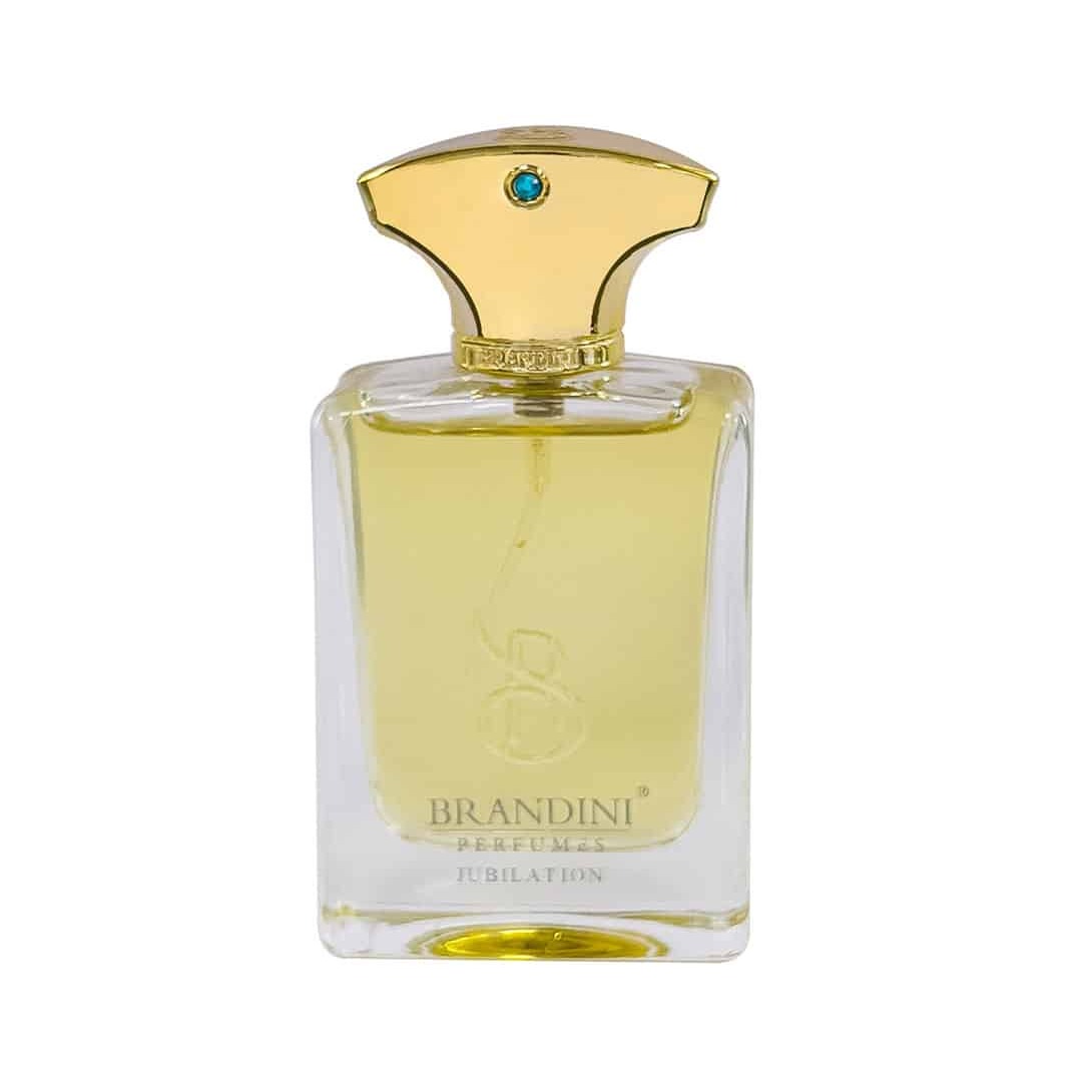 برندینی پرفیوم AMOUAGE JUBILATION MEN 33ML مینی